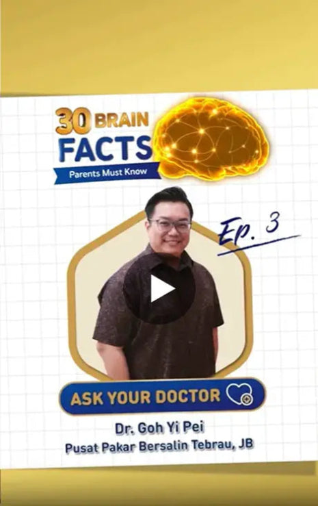 Brain video